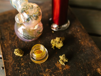 Delta 9: Enhancing Your Cannabis Journey